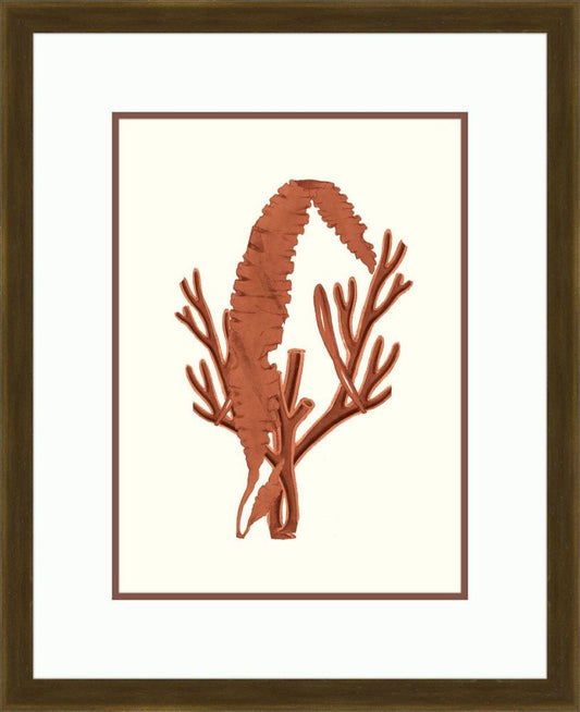 Sienna Sealife I