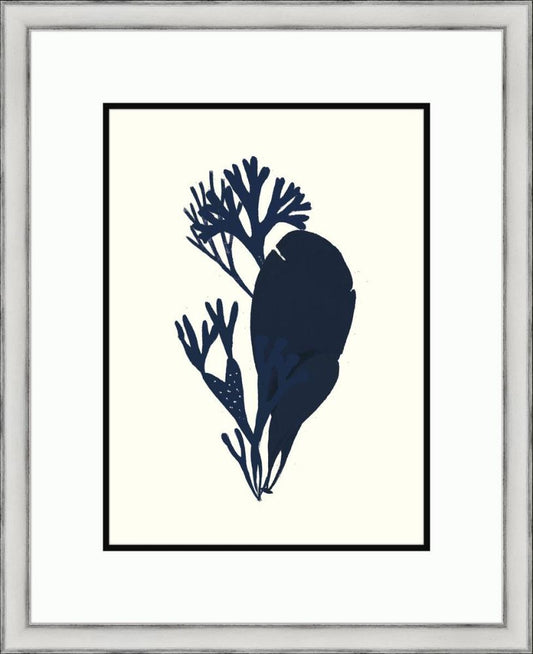 Black Sealife III