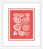 Coquillage Rouge I