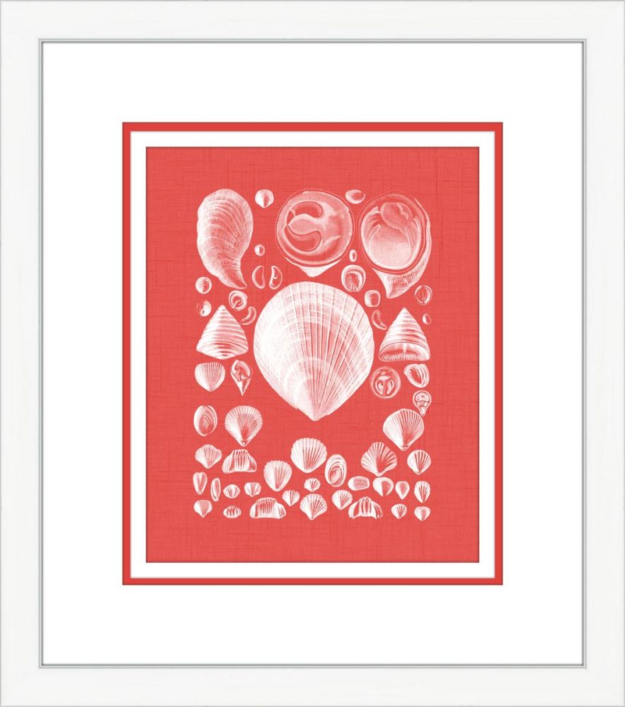 Coquillage Rouge IV