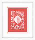 Coquillage Rouge IV