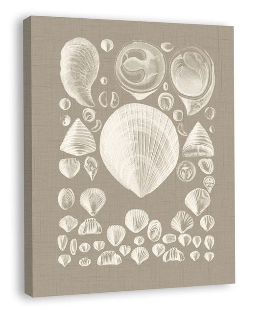 Colorful Shells in Taupe IV (canvas)