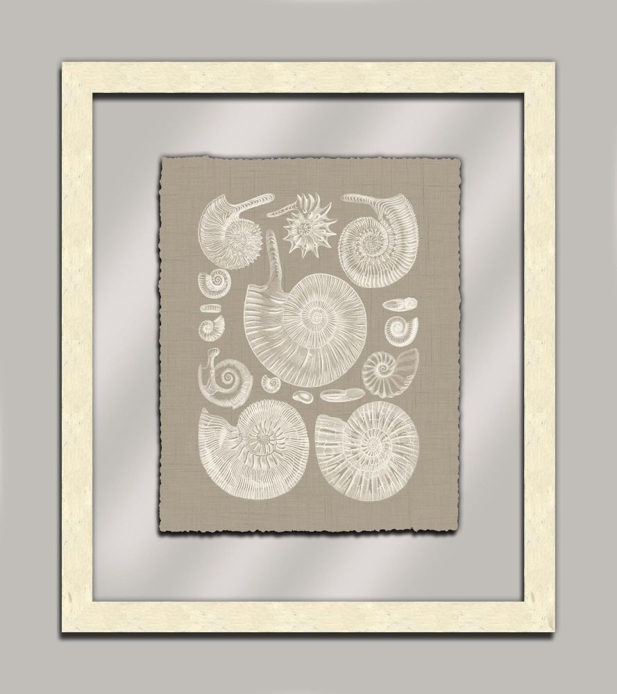 Taupe Shells in Glass II