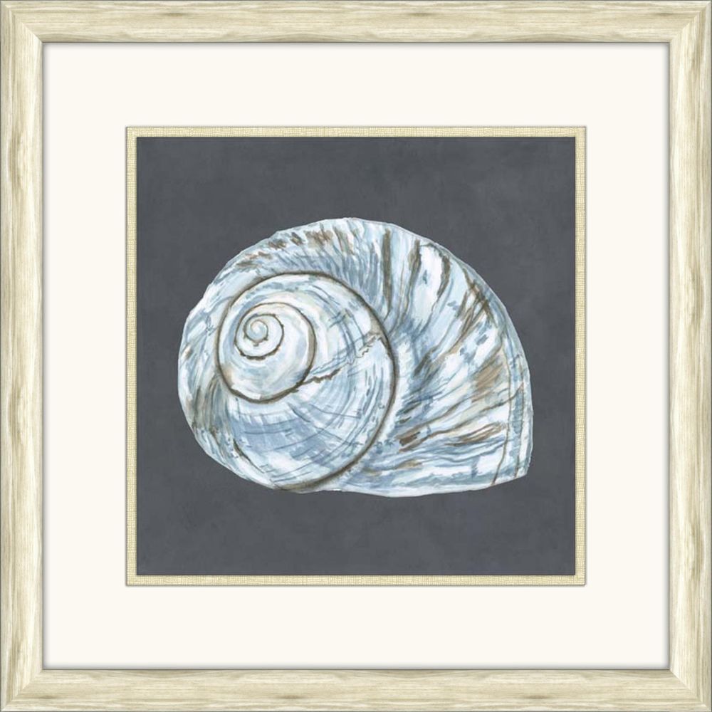 Shells on Slate IV