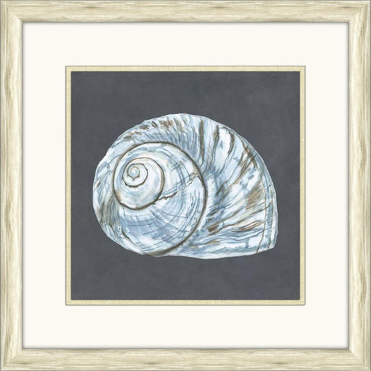 Shells on Slate IV