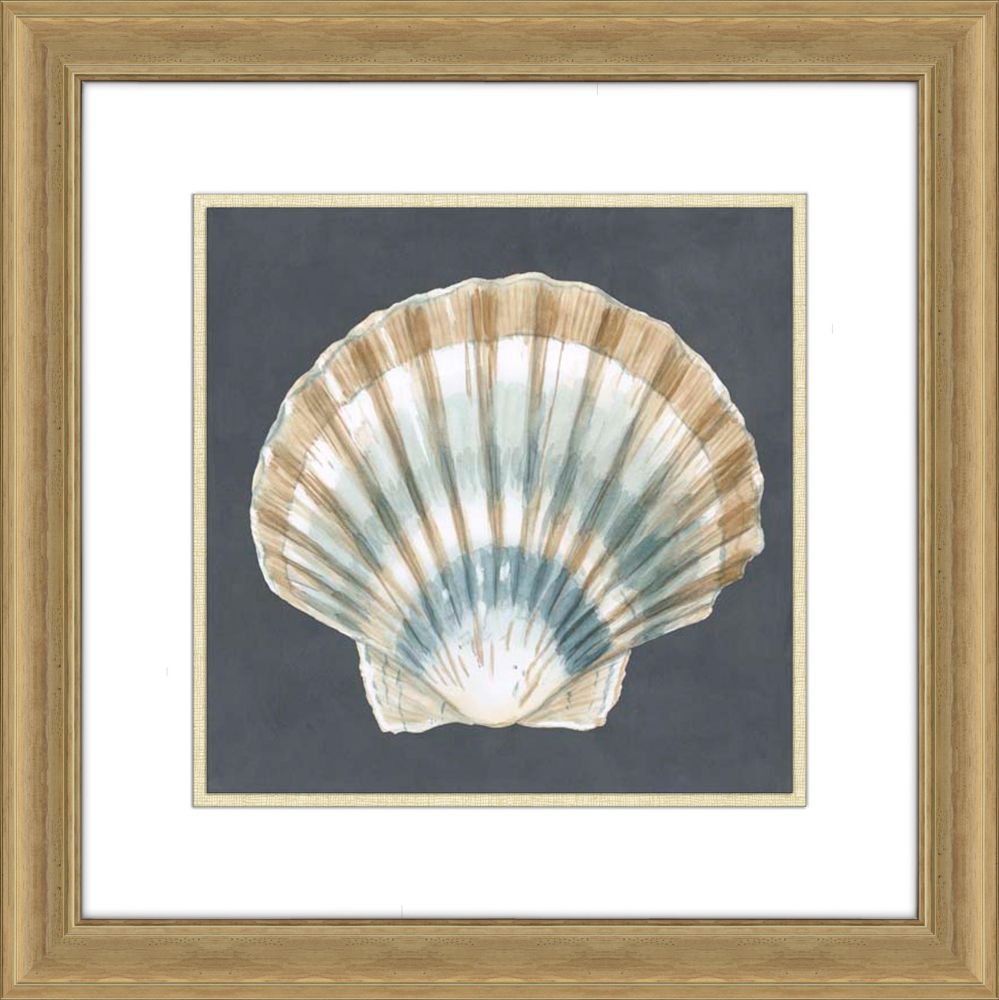 Shells on Slate III
