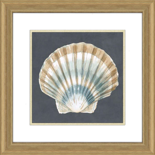 Shells on Slate III