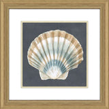 Shells on Slate III
