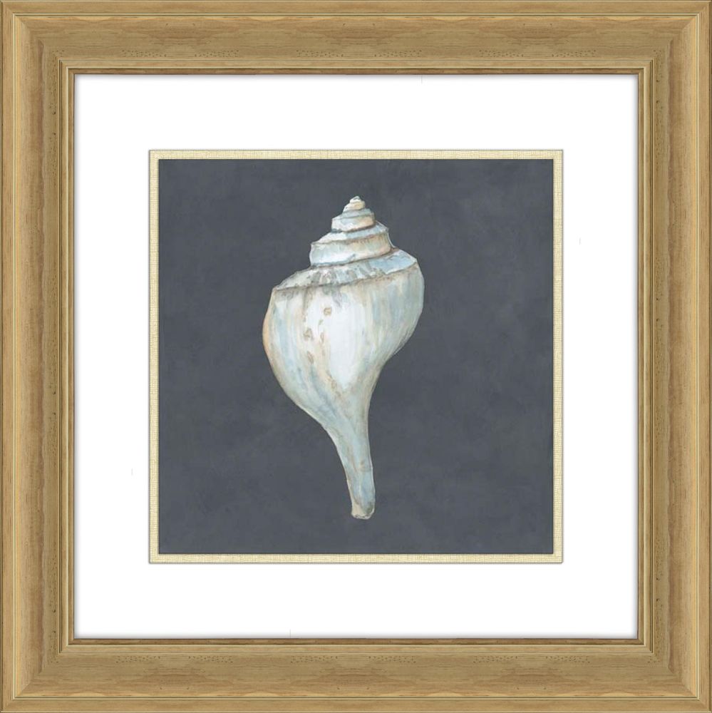 Shells on Slate IV
