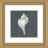 Shells on Slate IV