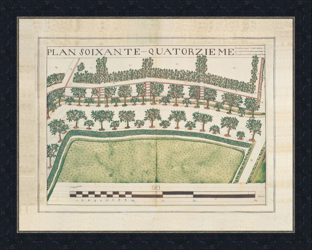 French Garden IV